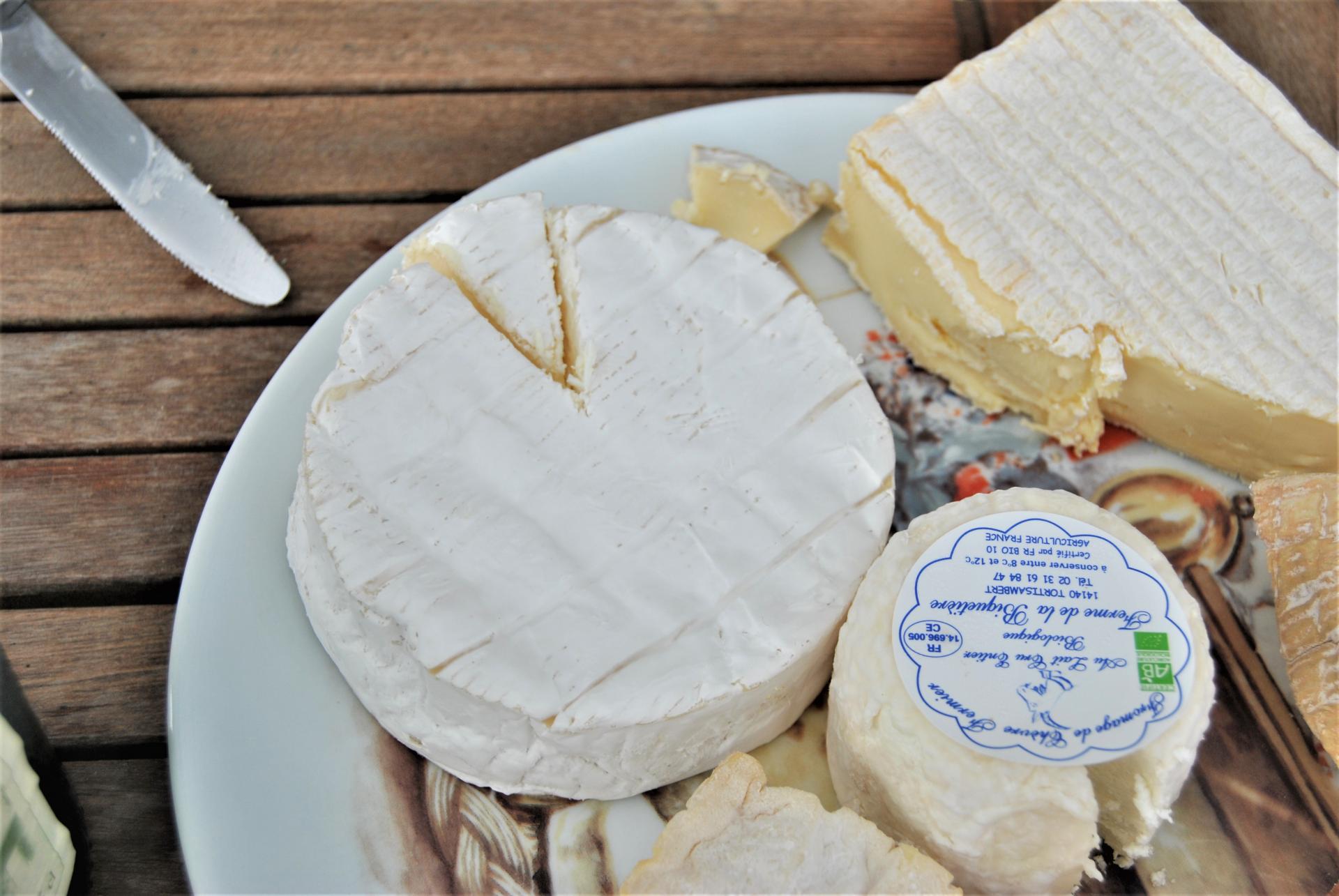 Cheeses of normandy 1